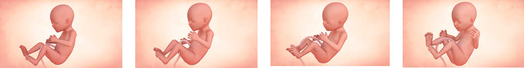 Hitos del cuarto mes de embarazo