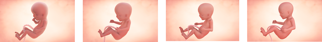 Hitos del tercer mes de embarazo