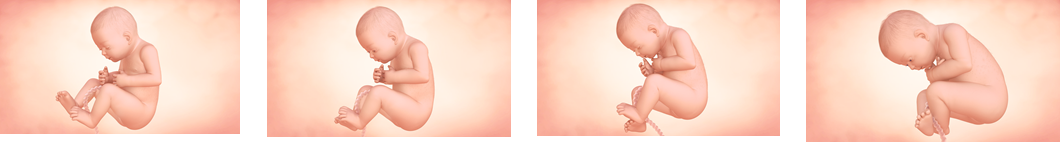 Hitos del octavo mes de embarazo