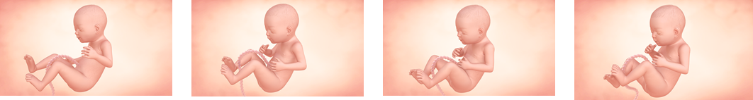 Hitos del sexto mes de embarazo