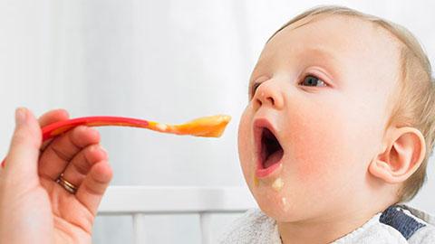 A alimentação no primeiro ano de vida