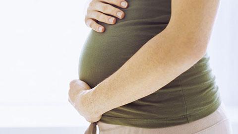 Fases do segundo mês da gravidez